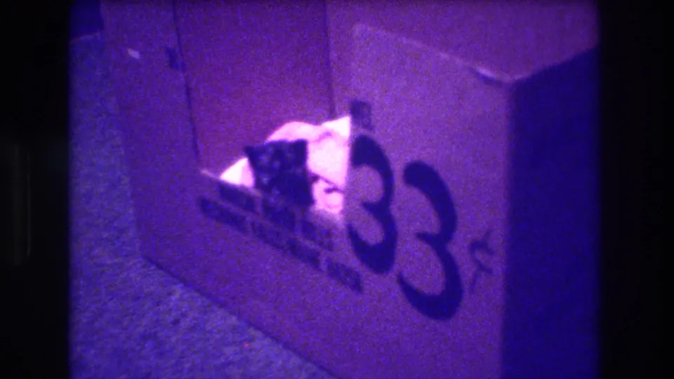 1973 home-movie frame from Medford, New Jersey showing the kitten halfway through the box opening, with the large 33 numerals and purple film cast prominent.