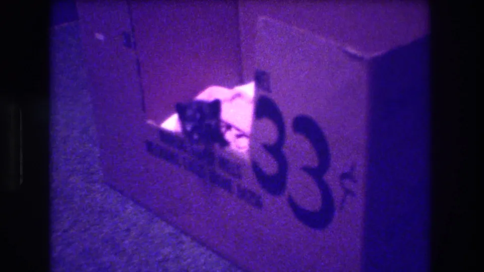 Purple-tinted 8mm frame of the small dark kitten negotiating the cut-out hole in the printed cardboard box, with bold 33 markings visible.