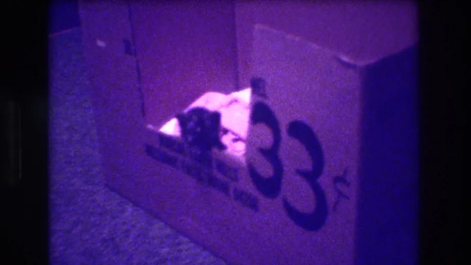 1973 Medford, New Jersey 8mm frame showing a small kitten beside or partly inside a cardboard box marked 33 on a dim floor with heavy purple film cast.