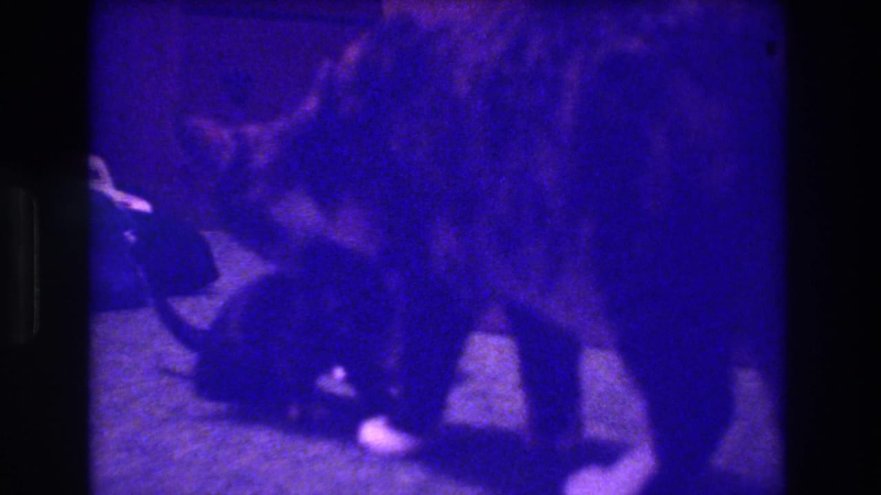 Mother cat stands over a small kitten on the floor.