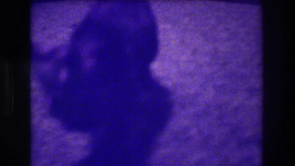 A soft, heavily grainy 8mm frame shows a blurred cat shape on carpet, preserving the purple-blue color shift and intimate home-movie viewpoint of the 1973 domestic pet scene.