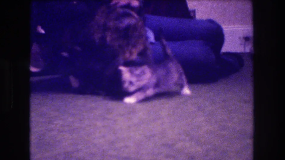 In 1973 Medford, New Jersey 8mm home-movie footage, a large tabby cat and small kitten are on a carpet near a seated woman in a dim interior.