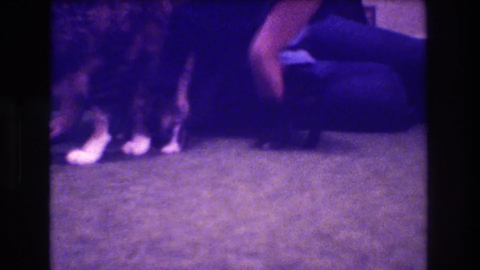 A woman reclines on the carpet near the tabby cat and kitten in a dim 1973 Medford, New Jersey domestic interior.