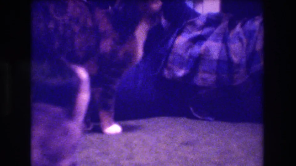 The kitten stands near a plaid blanket or fabric bundle on the carpet, with heavy grain, low-light blur, and purple 8mm color shift.