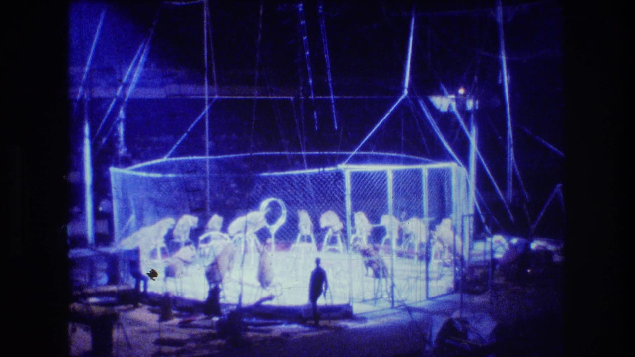 Lion act inside a fenced circus enclosure with a hoop and silhouetted observer.