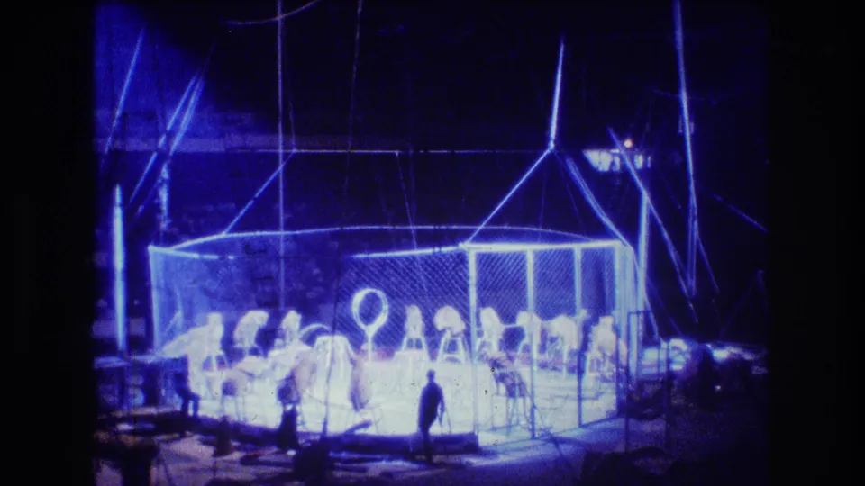1974 Boston home-movie frame of a blue-lit circus animal act, with lions clustered inside a mesh enclosure as a handler stands near a hoop.