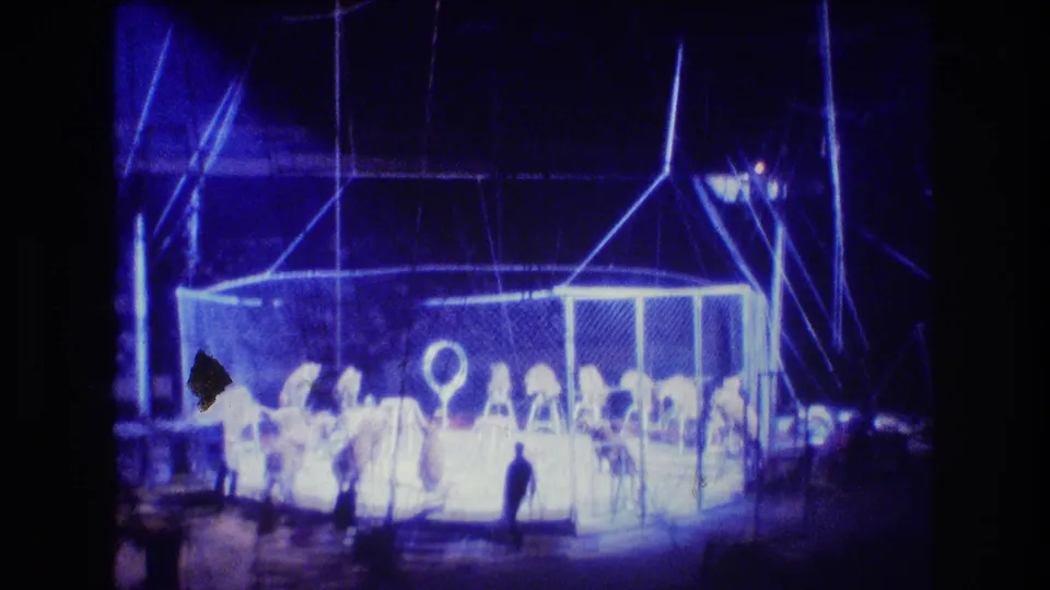 1974 Boston circus frame showing the lion act continuing inside the fenced ring, with a hoop prop, handler, animals, and a silhouetted observer beyond the enclosure.