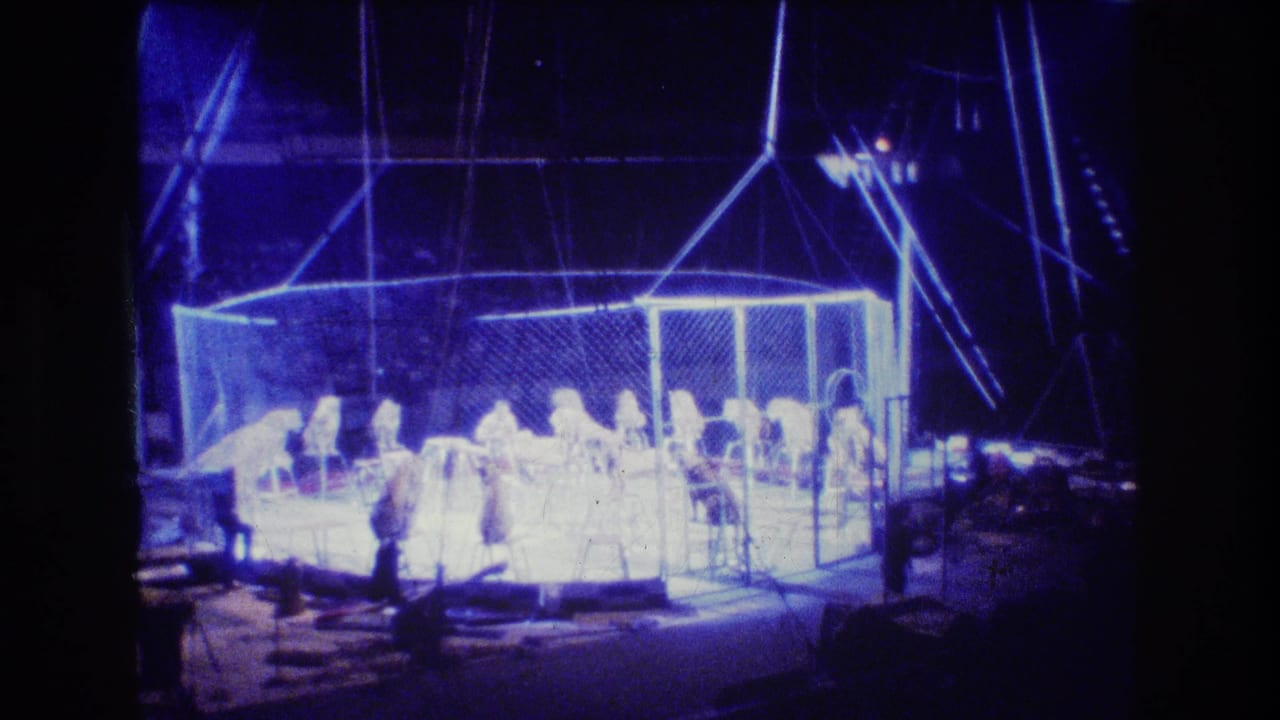 1974 Boston 8mm footage shows a distant audience view of a blue-lit circus cage ring with performers and likely lions inside the enclosure.