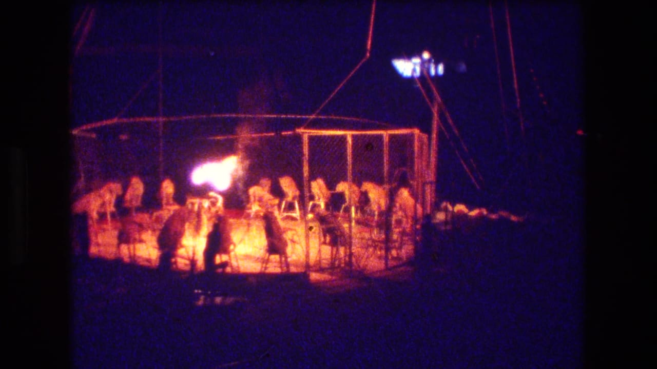 In the Boston 1974 home-movie footage, a tiger and handler appear inside a chain-link circus ring at night as a bright flame lights the scene.