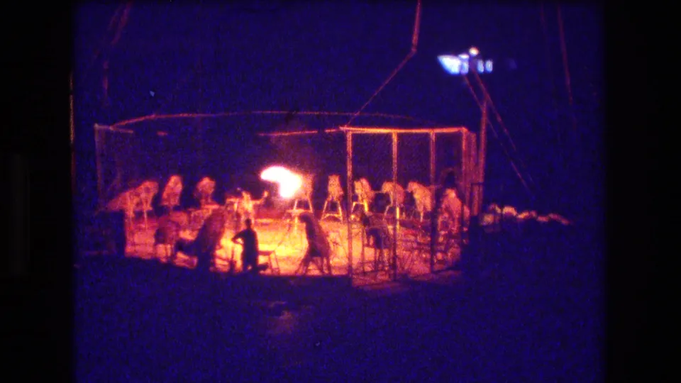 The 8mm frame shows a tiger act in a chain-link circus ring at night, with the handler positioned near a low bright flame and props along the back of the enclosure.