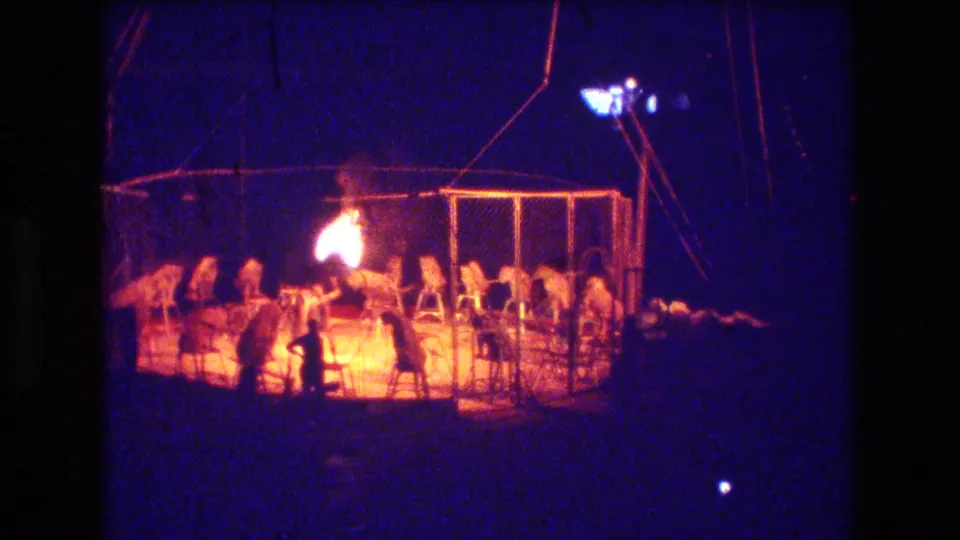 A tall orange flame rises inside the fenced circus ring as the tiger and handler remain visible in the dark, grainy Boston 1974 home-movie frame.