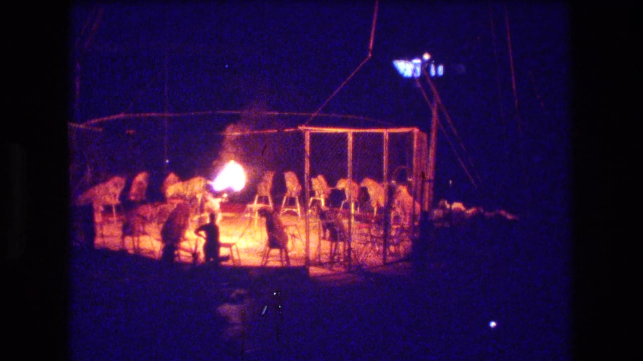 1974 Boston 8mm frame showing a distant circus-style enclosure with animals clustered near a trainer or performer and a bright flame against a dark audience area.
