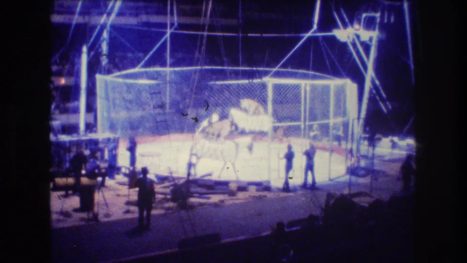 1974 Boston home-movie frame showing a large animal inside a caged circus enclosure, with handlers or performers standing around the ring under blue lighting.