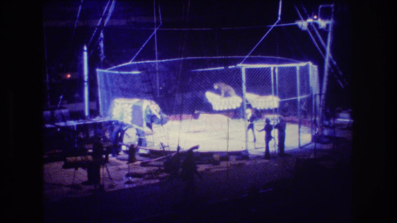 Fenced circus ring with animal platforms and handlers under bright tent lighting.