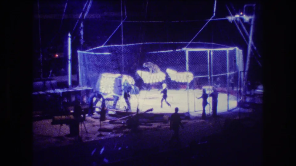 1974 Boston home-movie frame showing an elephant and nearby handlers inside a chain-link circus ring, with bright arena lighting and dark silhouetted foreground figures.