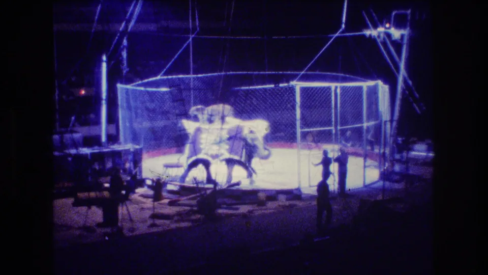 1974 Boston home-movie frame of an elephant in a glowing fenced circus ring, with a handler or ringmaster figure nearby and rigging visible above.