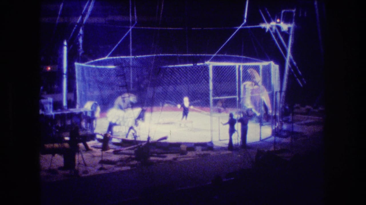 1974 Boston home-movie frame showing an indoor circus ring enclosed by a chain-link cage, with distant handlers and animals under bright blue-white lights.