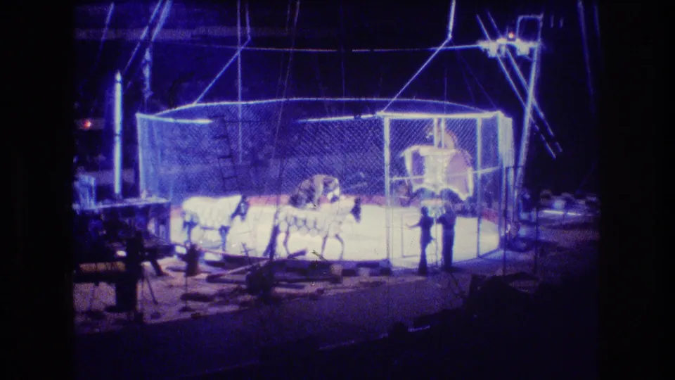1974 Boston circus frame with a large elephant-like animal, smaller animals, and handlers performing inside a chain-link cage under intense blue lighting.