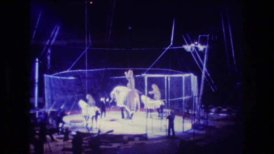 1974 Boston home-movie still of an indoor circus act with an elephant, smaller animals, handlers, cage panels, and a bright ring floor seen from the audience.