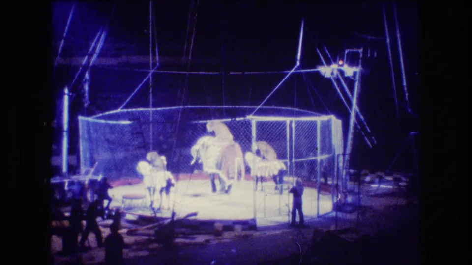 1974 Boston circus frame showing an elephant in a chain-link performance cage with handlers, smaller animals, stage lights, and dark audience-side silhouettes.