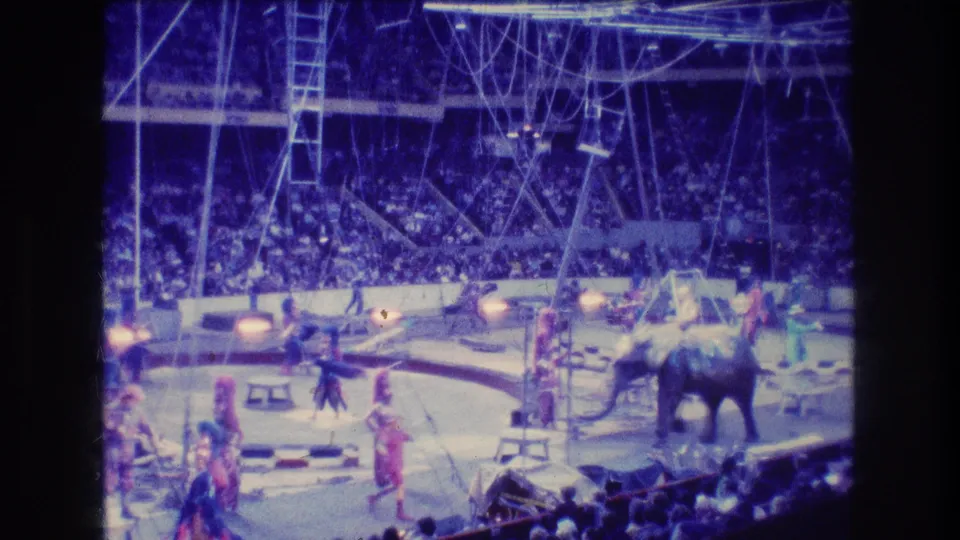1974 Boston 8mm frame showing an elephant at the edge of the circus ring with nearby costumed performers, arena spectators, stage rigging, and blue-purple home-movie color cast.