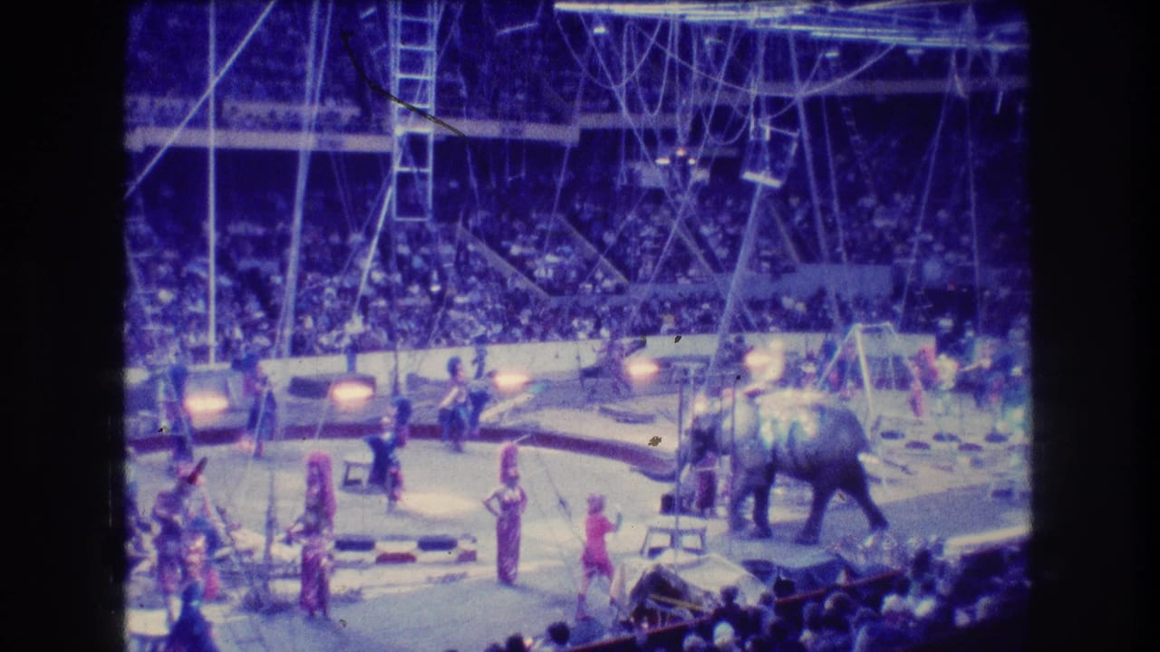 Wide view of circus elephants and costumed performers in an indoor ring before a large audience.