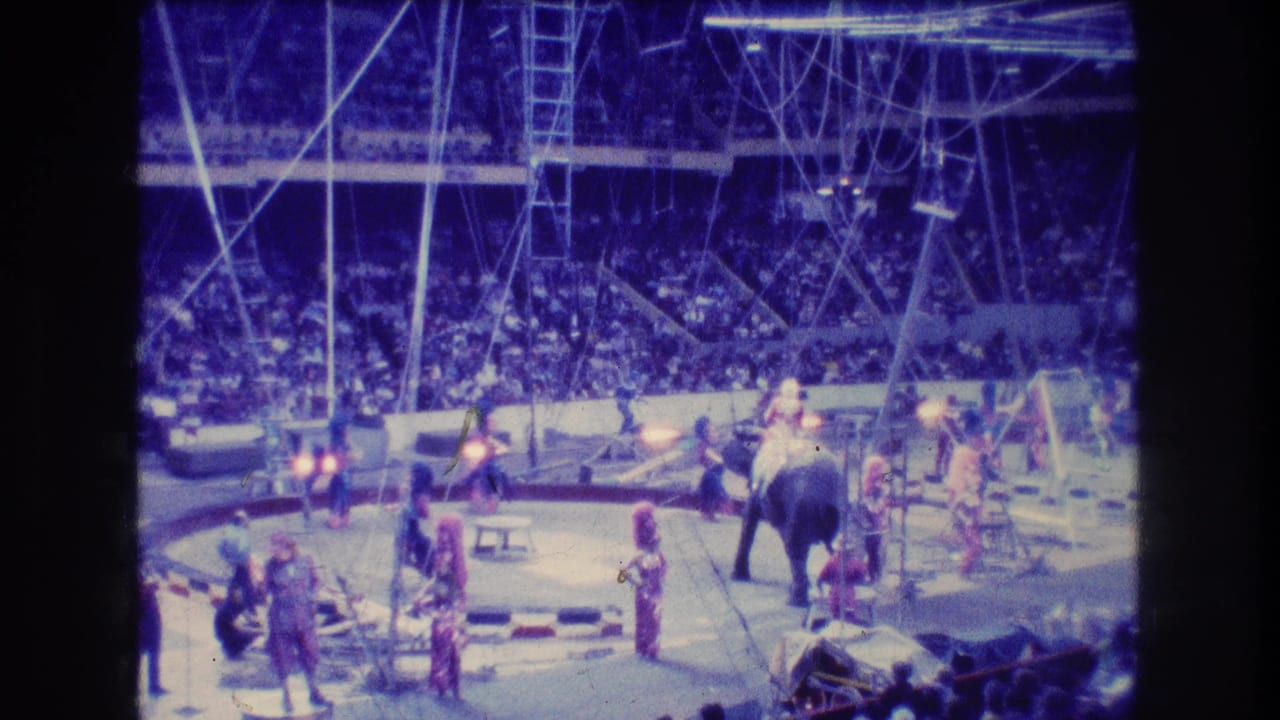 Elephants move through the circus ring while performers stand nearby and the audience watches.