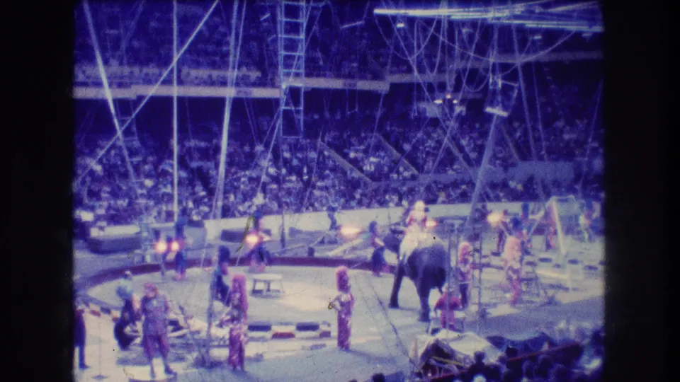1974 Boston home-movie frame with elephants and handlers in a lit indoor arena, seen from the spectator seating with rigging and ladders above the ring.