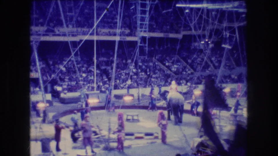 Wide 8mm frame from the 1974 Boston circus footage showing elephants and costumed performers spread across the ring beneath visible ladders and aerial rigging.