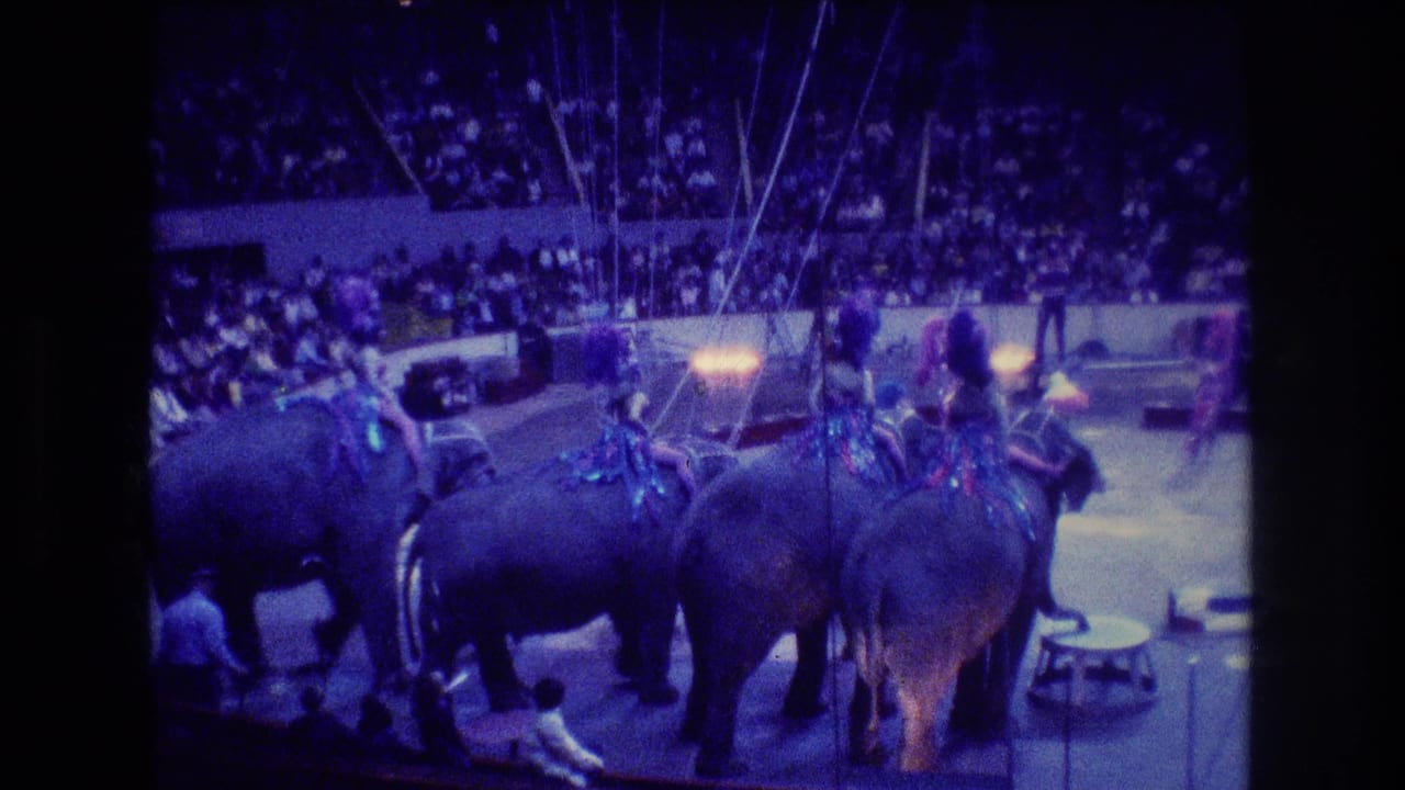 Elephants with costumed riders move through a circus ring before a large audience.
