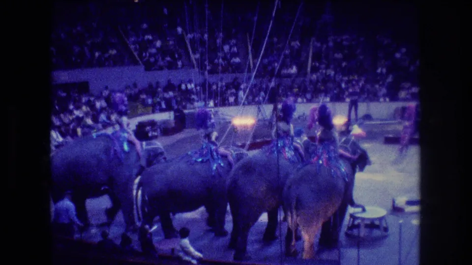 In 1974 Boston 8mm footage, elephants carrying costumed riders move across an indoor circus ring with handlers and a crowded arena visible behind them.