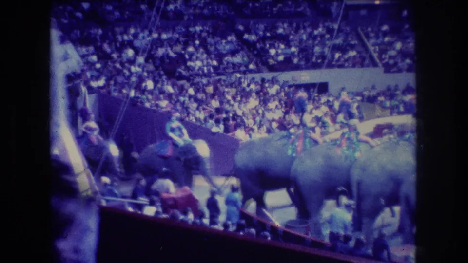 At the end of the 1974 Boston clip, elephants carrying riders continue through the indoor circus ring as handlers stand near the barrier and spectators watch.