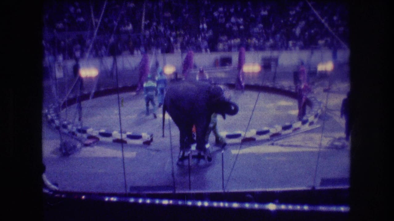 Elephant stands on a small stool in a circus ring with performers and a crowd behind it.