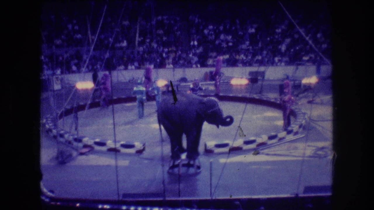Elephant faces right on a stool as performers stand around the circus ring.