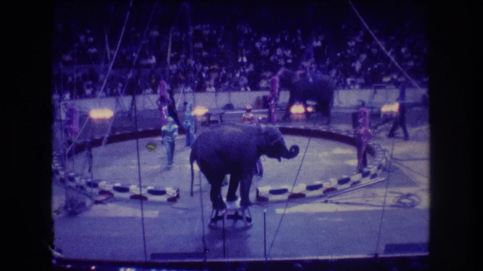 Near the end of the clip, the foreground elephant stands by the stool in the circus ring, with performers nearby and another elephant visible deeper in the arena.