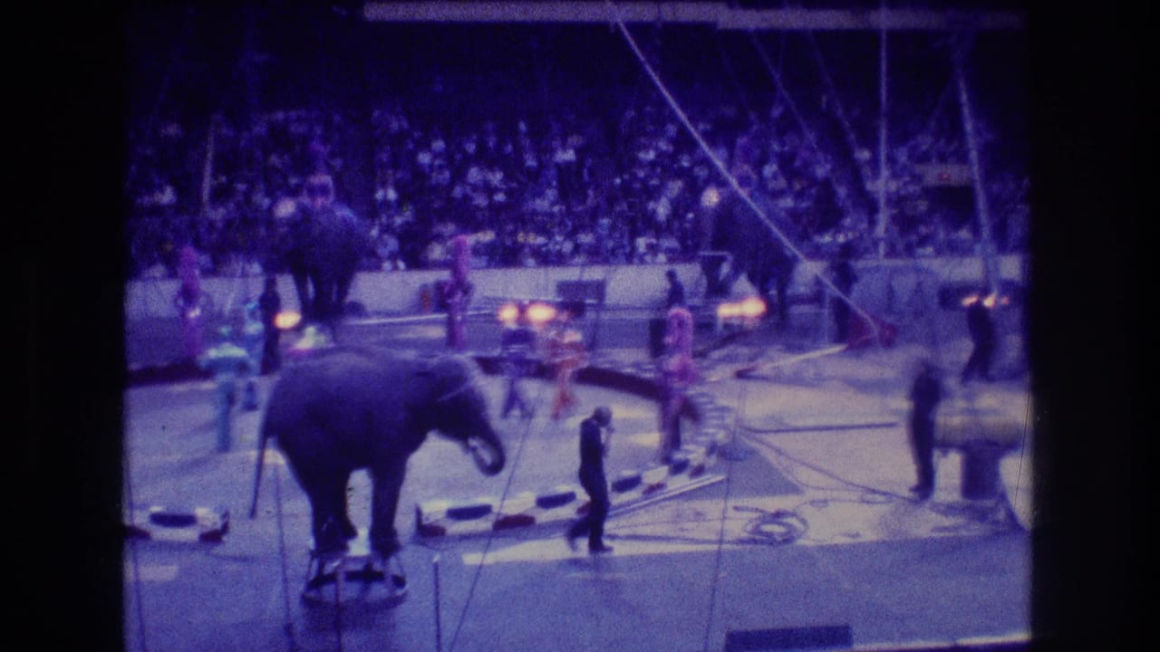 In 1974 Boston 8mm footage, an elephant stands on a small platform in a stage-lit circus ring while performers move nearby and spectators fill the background stands.