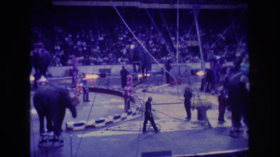 A handheld 1974 Boston circus view shows performers crossing the ring, an elephant near the left edge, ring props on the floor, and a seated audience behind them.