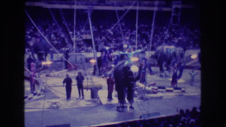 At the end of the short 1974 Boston circus clip, an elephant stands near the right side of the ring while performers and audience members remain visible under stage lighting.
