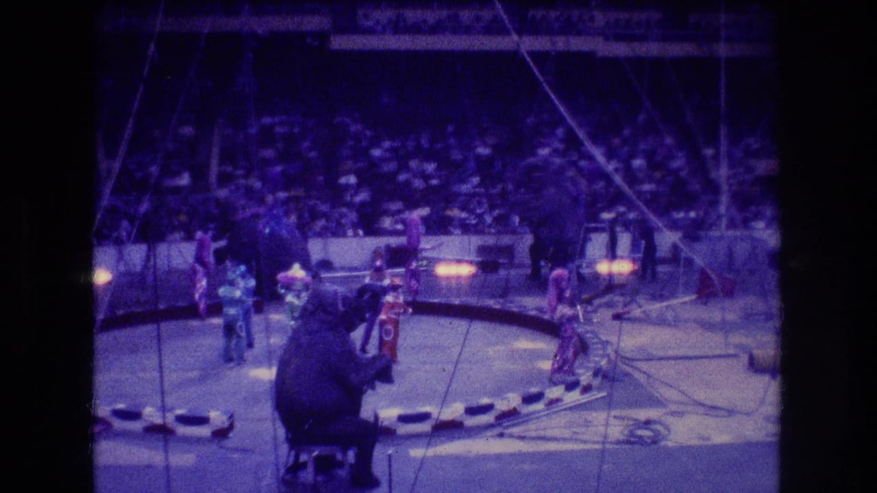 1974 Boston 8mm home-movie frame showing an indoor circus ring with elephants, costumed performers, overhead rigging, and spectators in the arena seats.