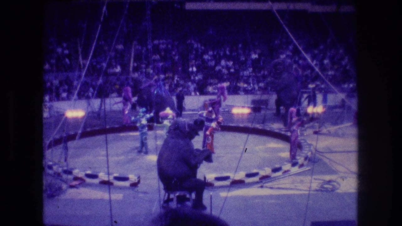 Circus performers and elephants inside a lit arena ring before a crowd.