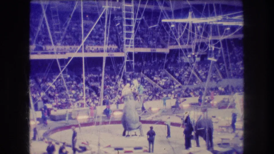 Wide 1974 Boston 8mm frame showing the circus ring from the stands, with elephants, handlers or performers, a large audience, ladders, and overhead apparatus.