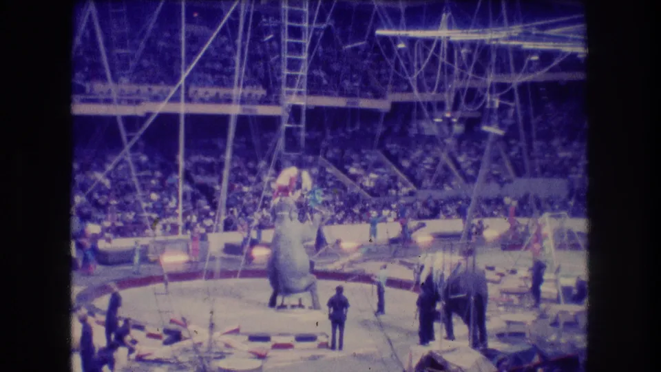 1974 Boston home-movie frame with elephants and performers arranged around an indoor circus ring, seen from the crowd with arena seats and rigging behind them.
