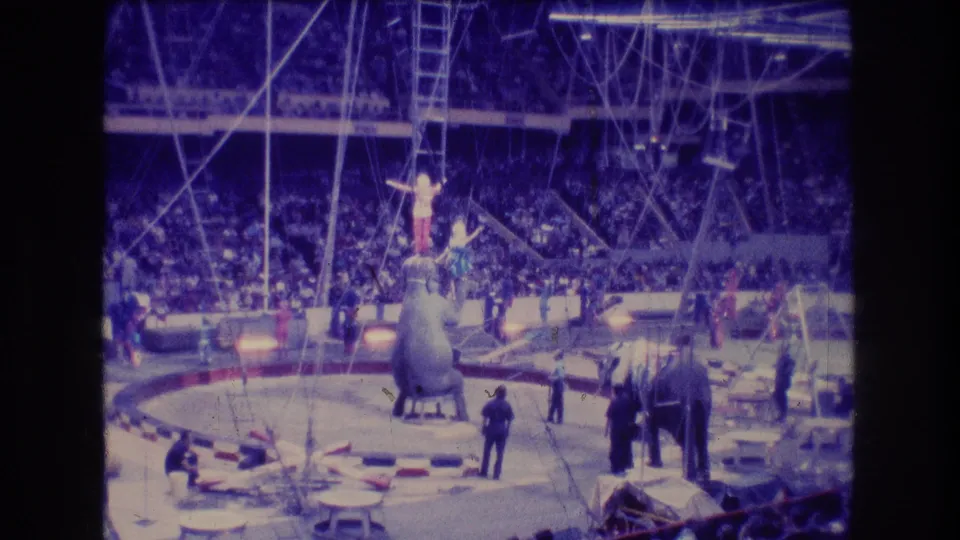 1974 Boston 8mm home-movie frame showing an indoor circus ring with elephants, handlers, spectators, rigging, and a performer balanced on an elephant.