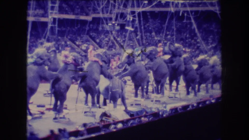 Soft 8mm frame from a 1974 Boston indoor circus showing elephants, costumed riders or handlers, small platforms, overhead ropes, and a blurred audience beyond the ring.