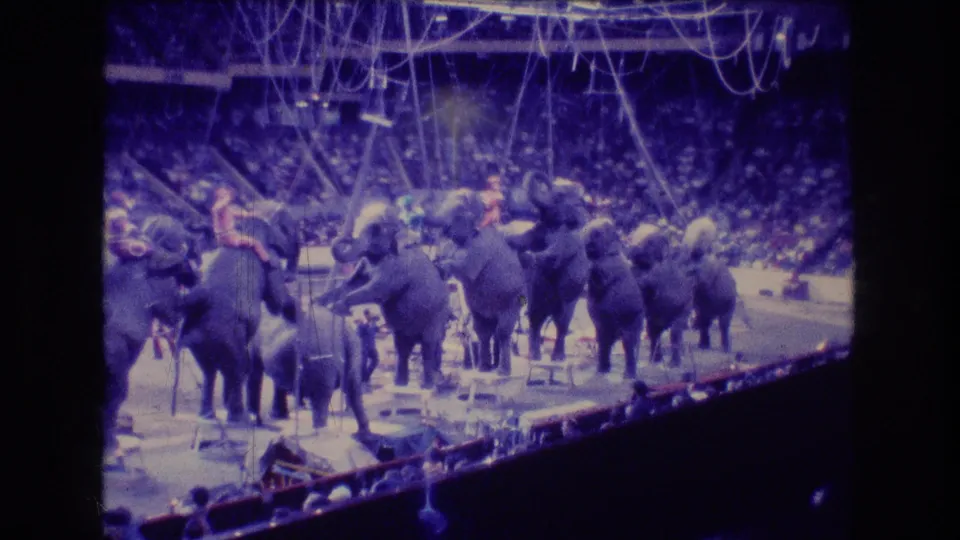 Final 1974 Boston home-movie frame showing the elephant lineup from the stands, with performers nearby, overhead circus apparatus, and spectators filling the indoor arena seats.