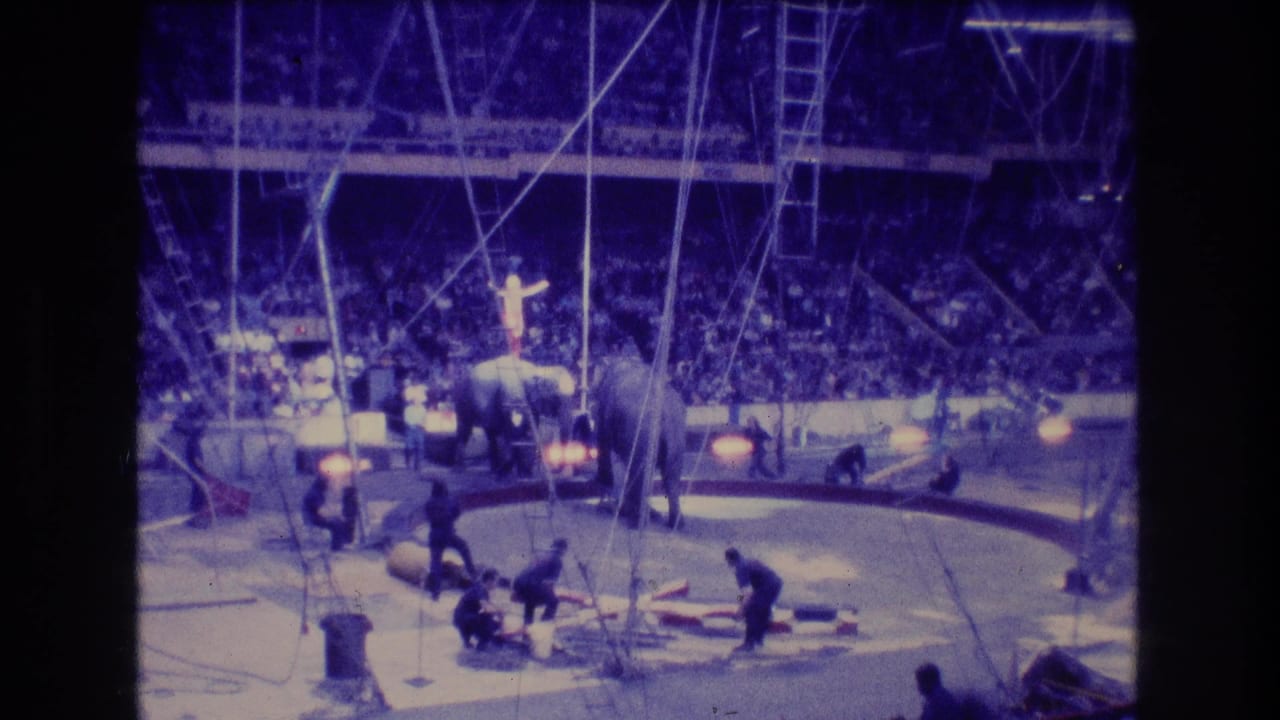 1974 Boston home-movie frame showing a circus ring under tent rigging, with elephants and handlers performing before a large seated audience.