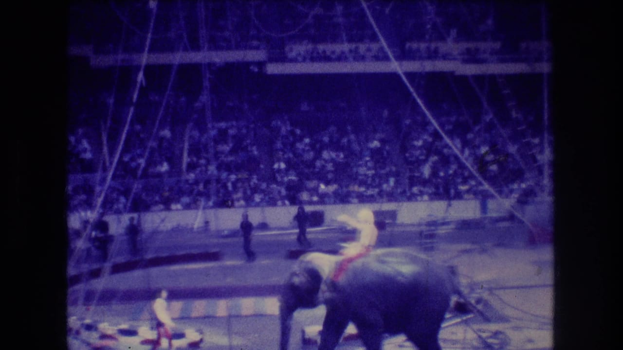 1974 Boston circus footage frame with a rider atop an elephant near the ring edge, performers nearby, and spectators filling the background stands.