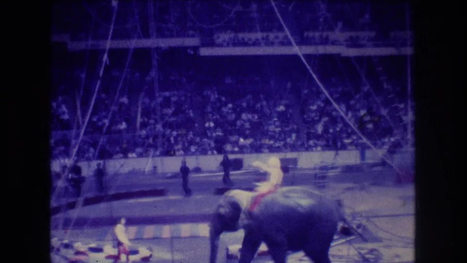 1974 Boston circus footage frame with a rider atop an elephant near the ring edge, performers nearby, and spectators filling the background stands.