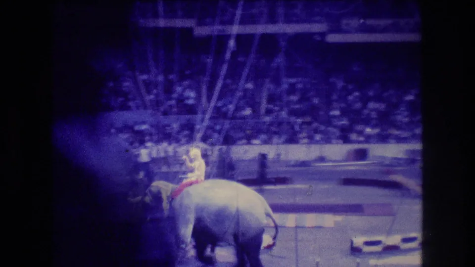 Blue-tinted 8mm frame from the 1974 Boston circus scene showing an elephant with a rider moving through the ring in front of crowded stands.