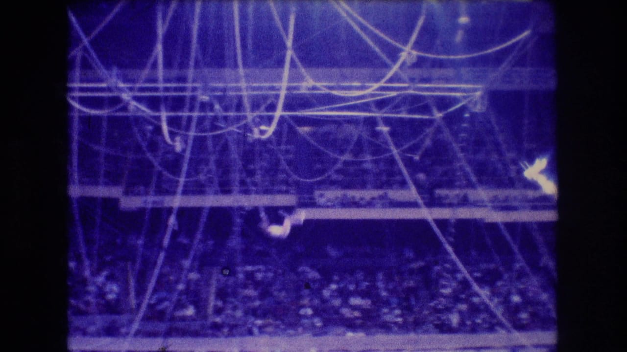 Aerial circus rigging above a seated crowd with a performer suspended near the left side.